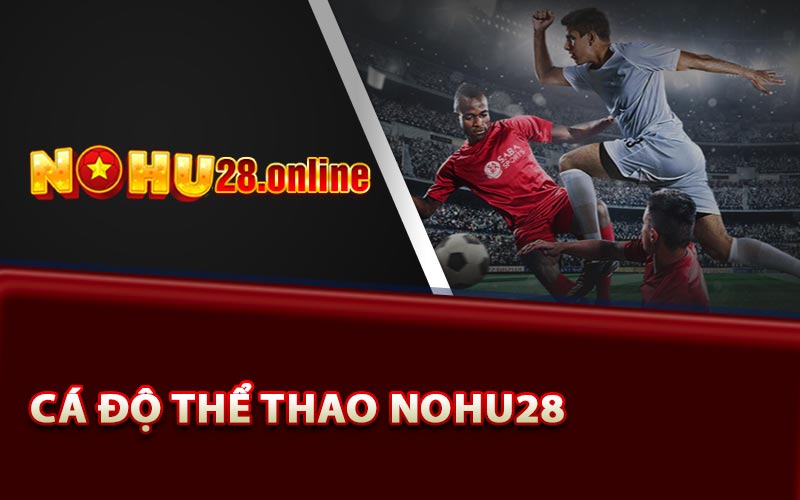 Cá độ thể thao Nohu28