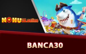 Thông Tin Cơ Bản Về Banca30